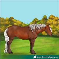 Horse Color:Silver Brown 