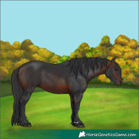 Horse Color:Brown 