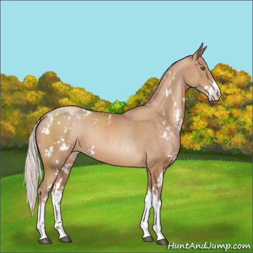 Horse Color:Silver Black Pearl Sabino 