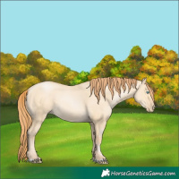 Horse Color:Buckskin Pearl Dun 