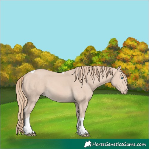 Horse Color:Perlino Tobiano 