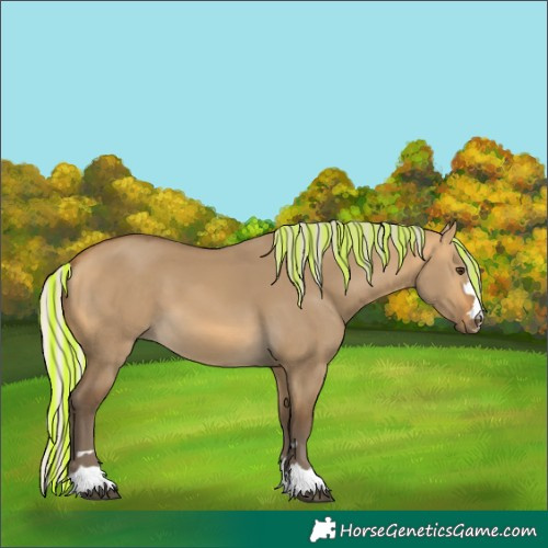 Horse Color:Painted Silver Buckskin Dun 