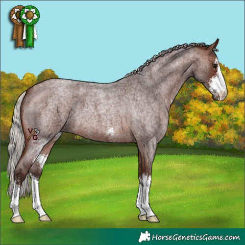 Horse Color:Silver Brown Roan Sabino 