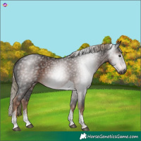 Horse Color:Gray Liver Chestnut Tobiano 