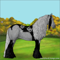 Horse Color:Void Silver Grullo Chinchilla Tobiano 