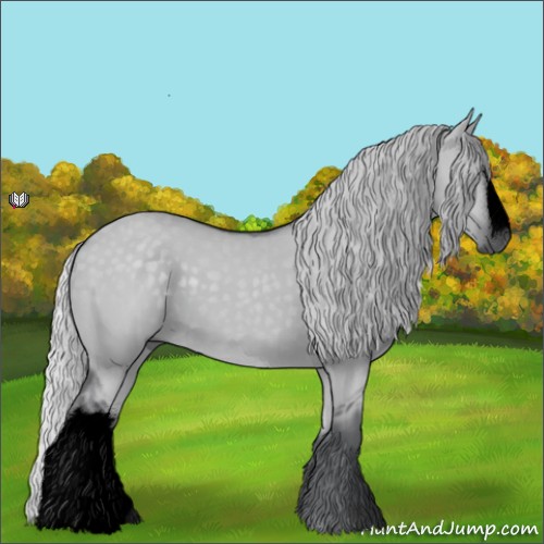 Horse Color:Void Silver Grullo Chinchilla 