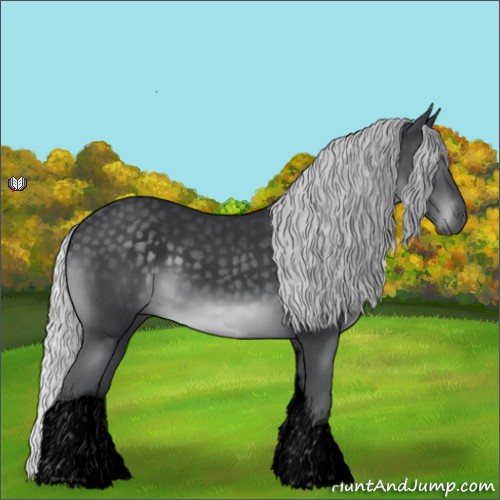 Horse Color:Void Silver Black Chinchilla Tobiano 