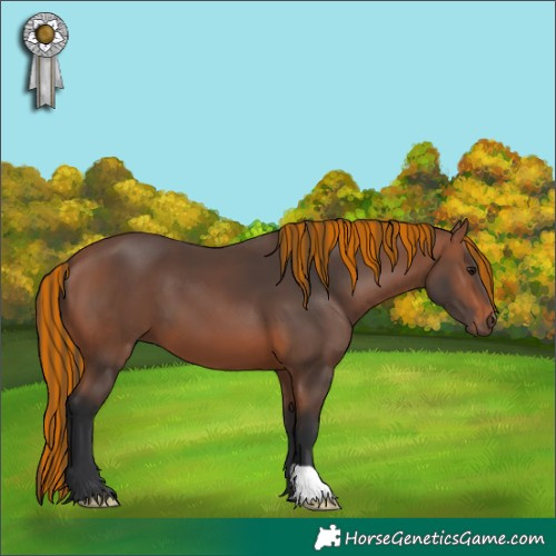 Horse Color:Painted Bay 