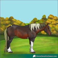 Horse Color:Painted Brown Tobiano 