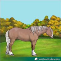Horse Color:Silver Smoky Grullo