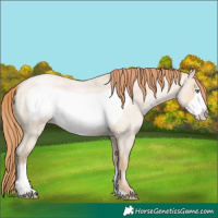 Horse Color:Smoky Grullo Roan Pearl Frame 