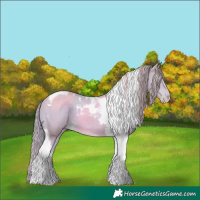 Horse Color:Watercolor Smoky Creme Tobiano