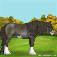 Horse Color:Smoky Black Sabino 