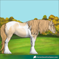 Horse Color:Smoky Black Pearl Tobiano