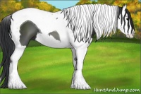 Horse Color:Black Splash Tobiano 