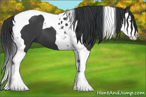Horse Color:Black Splash Tobiano