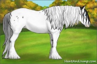 Horse Color:Black Splash Tobiano