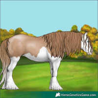 Horse Color:Black Pearl Splash 