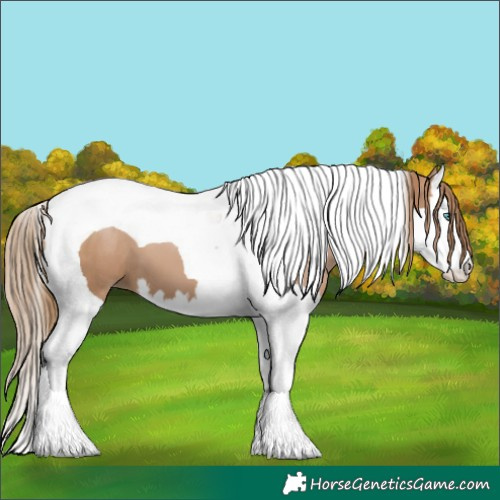Horse Color:Black Pearl Splash Tobiano 