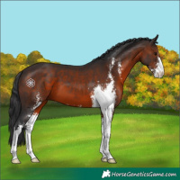 Horse Color:Brown Sabino 