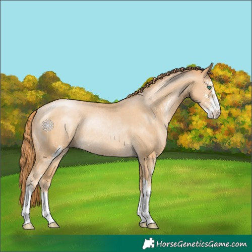 Horse Color:Smoky Black Pearl Sabino Rabicano 