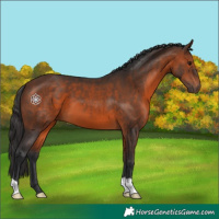 Horse Color:Brown 