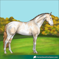 Horse Color:White Spotted Buckskin Pearl Dun Sabino 