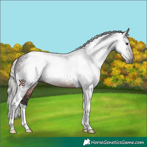Horse Color:Gray Silver Brown Tobiano