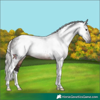 Horse Color:Gray Silver Brown Tobiano 