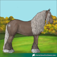 Horse Color:Silver Black 