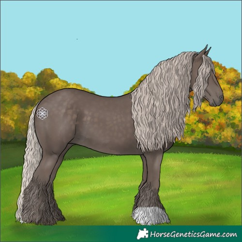 Horse Color:Silver Black 