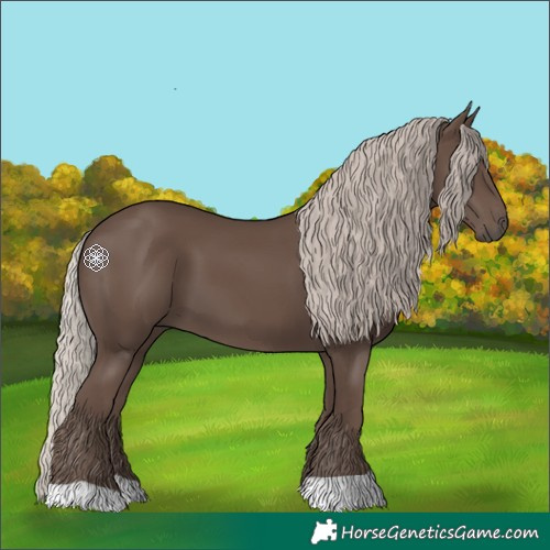 Horse Color:Silver Black 