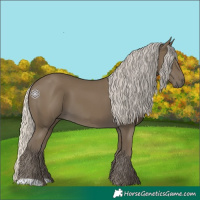 Horse Color:Silver Smoky Black