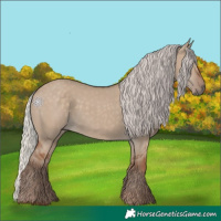 Horse Color:Silver Grullo 