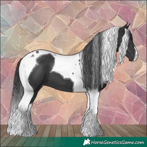Horse Color:Black Tobiano 