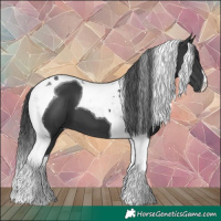 Horse Color:Black Tobiano