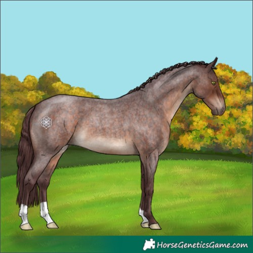 Horse Color:Chocolate Brown Roan 