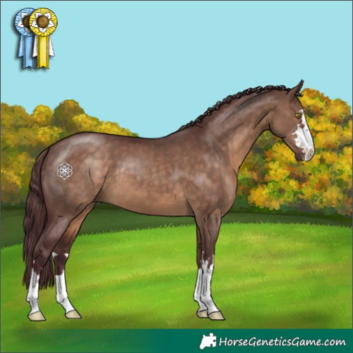 Horse Color:Chocolate Brown Dun 