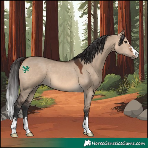 Horse Color:Brown Dun