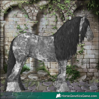 Horse Color:Black Ice 