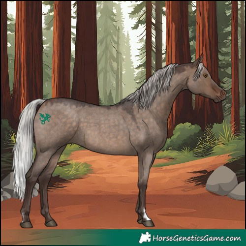 Horse Color:Silver Brown Roan Dun 