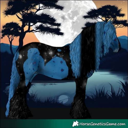 Horse Color:ERROR: UNKNOWN ANOMALY