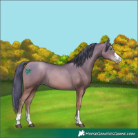 Horse Color:Brown Pearl 