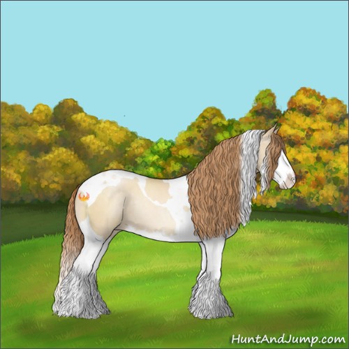 Horse Color:Smoky Grullo Pearl Splash Tobiano Rabicano 