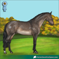 Horse Color:Brown Dun 