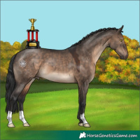 Horse Color:Brown Dun 