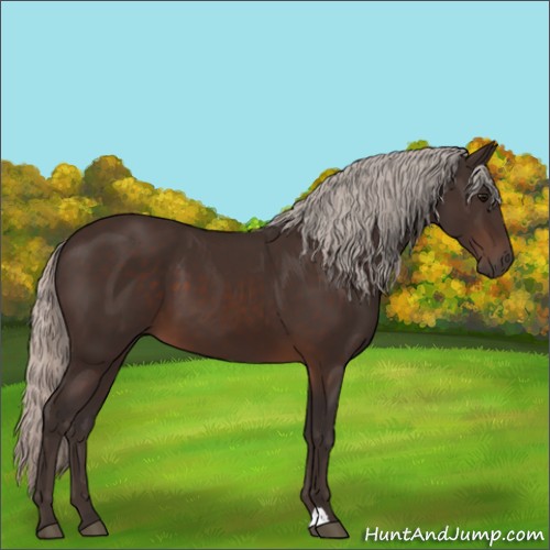 Horse Color:Silver Brown