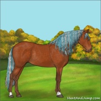 Horse Color:Painted Silver Buckskin Rabicano 