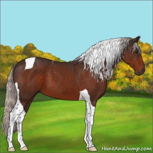 Horse Color:Silver Brown Tobiano 