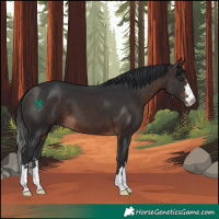 Horse Color:Brown 